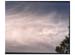 dusk_toxic_plume